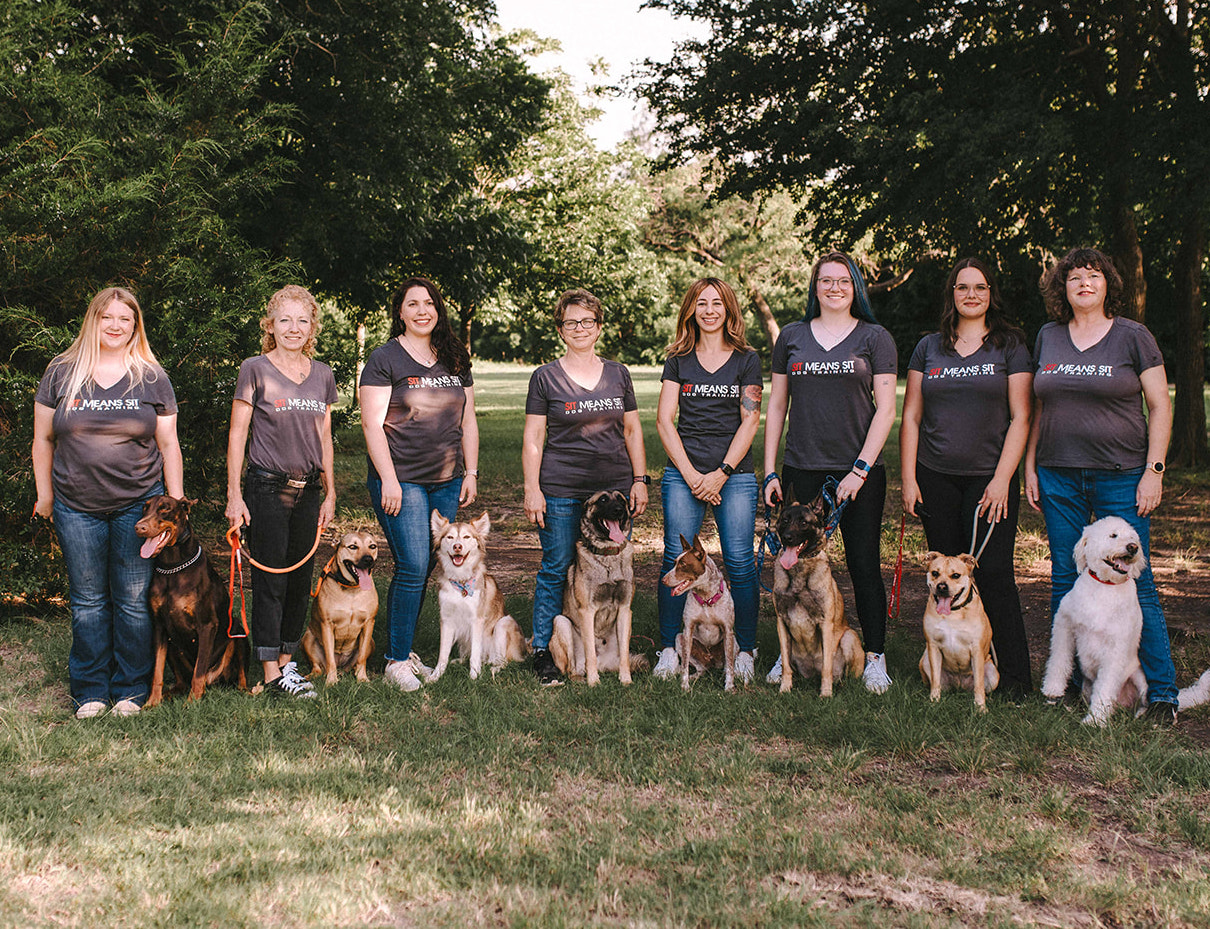 trainers with dogs